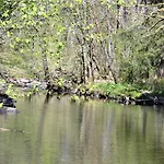 A La Ferme Du Pere Eugene 3* Мальмеди