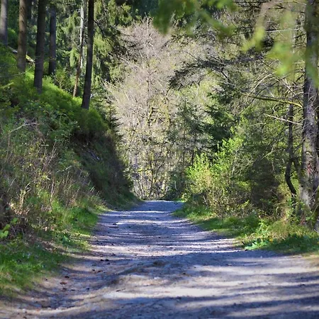 A La Ferme Du Pere Eugene מאלמדי