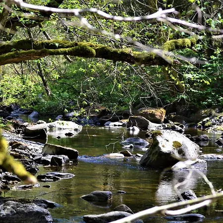 בית הארחה A La Ferme Du Pere Eugene מאלמדי