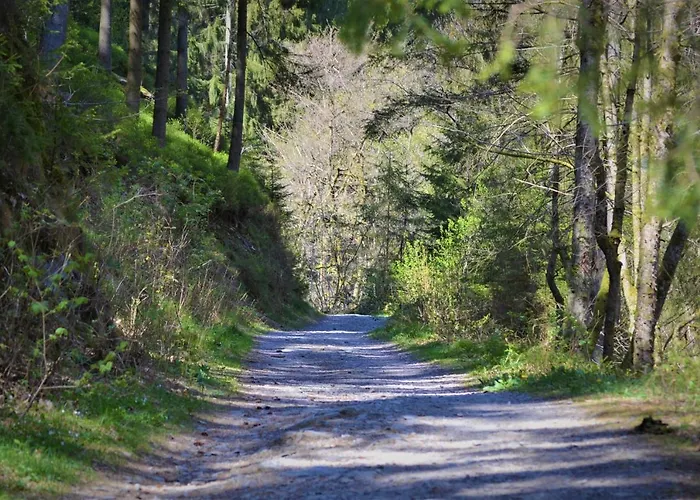 A La Ferme Du Pere Eugene מאלמדי