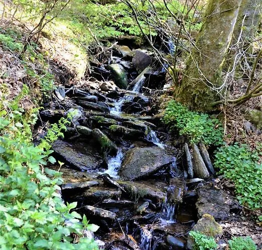 A La Ferme Du Pere Eugene