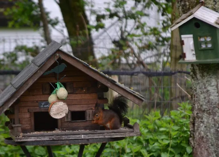 A La Ferme Du Pere Eugene בית הארחה 3*