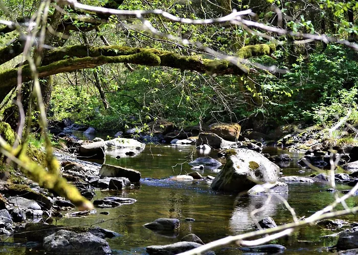 בית הארחה A La Ferme Du Pere Eugene מאלמדי