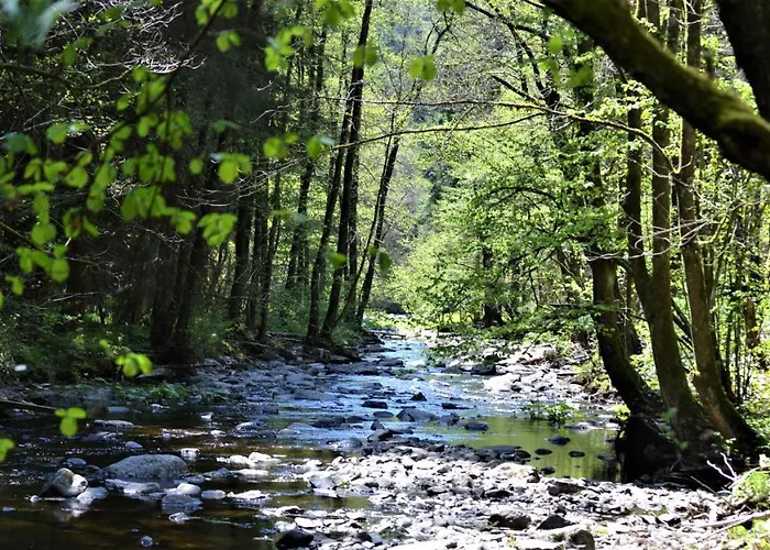A La Ferme Du Pere Eugene 3* מאלמדי