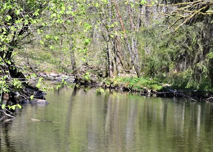 A La Ferme Du Pere Eugene 3* מאלמדי