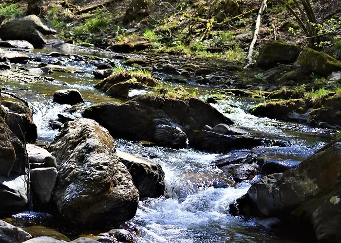 A La Ferme Du Pere Eugene בית הארחה 3*